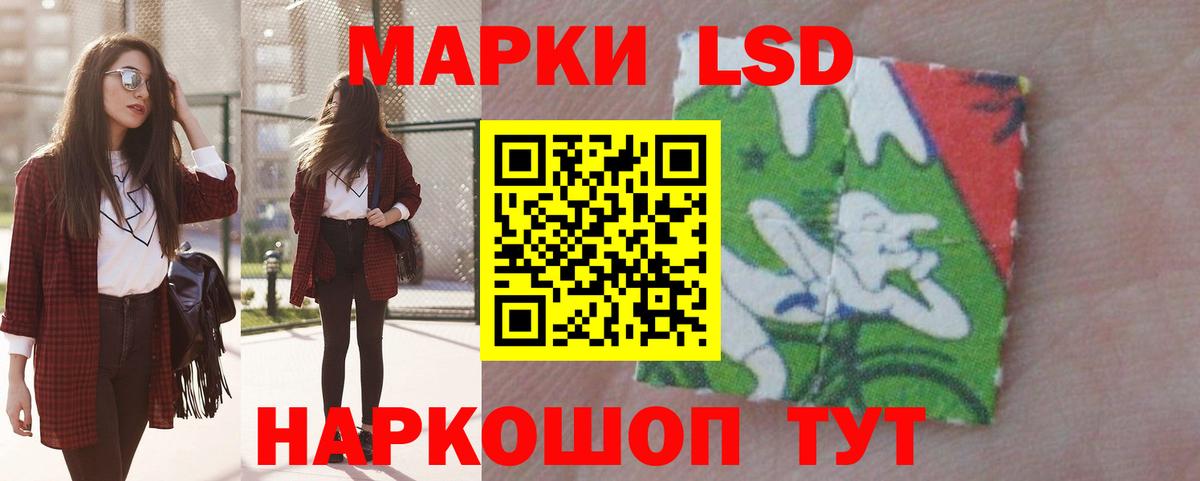 Лсд 25 экстази кислота  Вход с VPN  Ставрополь 